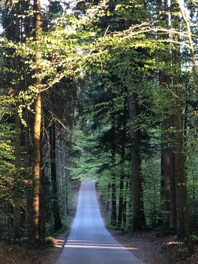شقة Wanderlust Chiemgau باد اندورف المظهر الخارجي الصورة